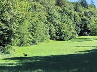Col du Nivollet da Saint-Jean-le-Vieux
