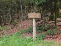 Col du Page from Bussang