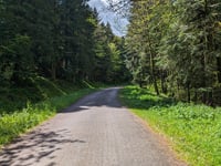 Col du Page von Mont d'Oderen