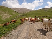 Col du Parpaillon von Crévoux
