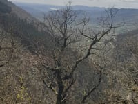 Col du Perthus von Lodève