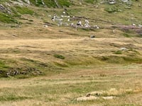 Col du Petit Mont-Cenis from Lanslebourg