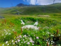 Col du Petit Saint-Bernard desde Bourg Saint Maurice por Montvalezan