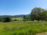 Col du Pfaffenschlick von Lembach