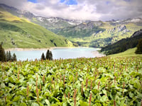 Col du Pré von Beaufort