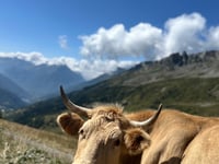 Col du Sabot