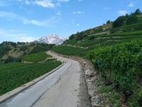 Col du Sanetsch