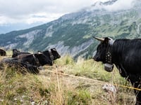Col du Sanetsch depuis Sion par Chandolin