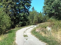 Col du Sapey from Saint Julien Montdenis