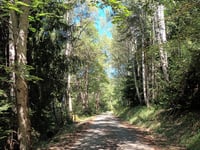 Col du Sapey from Saint Julien Montdenis