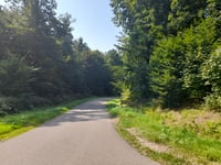 Col du Schaufelshald von Breitenwasen über Col du Litschhof