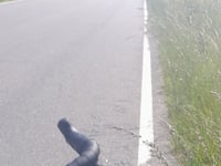 Col du Schimberg von Reyersviller