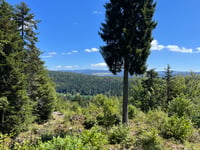 Col du Sentier