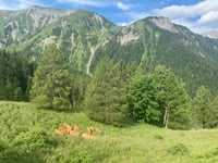 Col du Solude