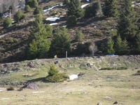 Col du Somport via Cette-Eygun