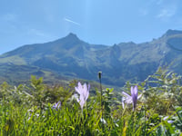 Col du Soulor from Ferrières