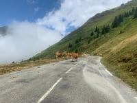 Col du Tourmalet von Luz Saint Sauveur über Voie Laurent Fignon
