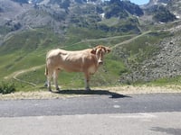 Col du Tourmalet