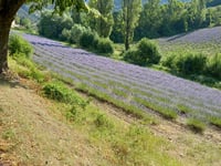 Col la Sausse von Saint Ferréol Trente Pas