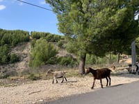 Col Sainte Anne da Allauch