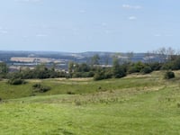 Coldharbour Lane von Wye
