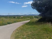 Coll d'Alba via Mas de la Blaia
