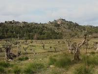 Coll d'en Claret über Son Ferrandell