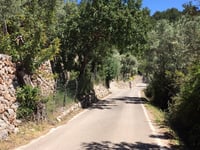 Coll d'en Marquès von Port de Sòller