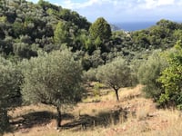 Coll d'en Marquès von Port de Sòller