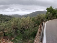 Coll d'en Marquès von Sòller