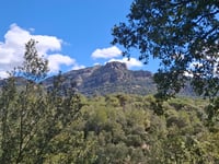 Coll d'Estenalles from Pla del Bon Aire