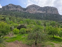 Coll d'Honor da Bunyola