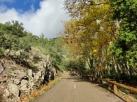 Coll d'Honor da Bunyola