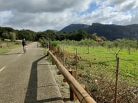 Coll d'Honor depuis Orient