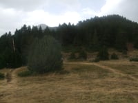 Coll d'Ordino von Ordino