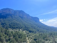 Coll d'Orient depuis Alaró
