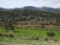 Coll d'Orient depuis Alaró