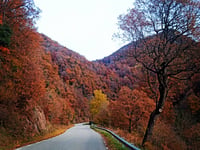 Coll de Bracons da Sant Pere de Torelló