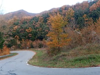 Coll de Bracons da Sant Pere de Torelló