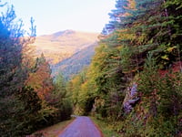 Coll de Jou von Ribes de Freser