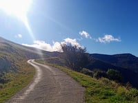 Coll de Jou von Ribes de Freser