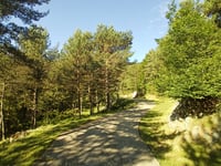 Coll de Jou from Sant Joan de les Abadesses
