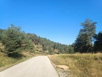 Coll de la Batallola von Borredà