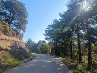Coll de la Batallola von Borredà
