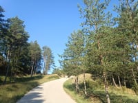 Coll de la Batallola von La Pobla de Lillet