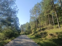 Coll de la Batallola von La Pobla de Lillet