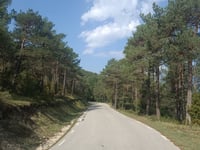 Coll de la Bena da Bagà
