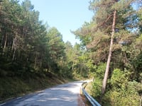 Coll de la Bena von Bagà