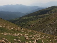 Coll de la Creueta from Guardiola de Berguedà