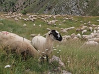 Coll de la Creueta from Guardiola de Berguedà